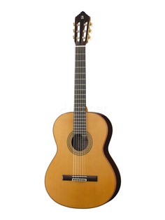 Классические гитары Alhambra 7.631 Premier Pro Madagascar