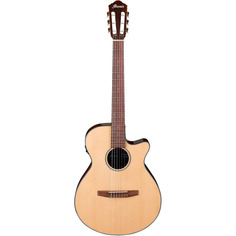 Электроакустические гитары Ibanez AEG50N-NT