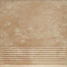 Ступень Paradyz