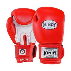 Боксерские детские перчатки Windy BGVC, красный