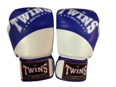 Боксерские перчатки Twins Special BGVL10, синий / белый