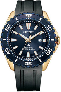 Японские наручные мужские часы Citizen BN0196-01L. Коллекция Promaster