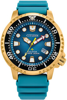 Японские наручные мужские часы Citizen BN0162-02X. Коллекция Promaster