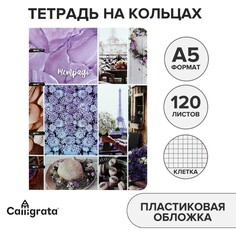 Тетрадь на кольцах a5 120 листов в клетку calligrata