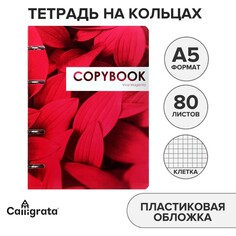 Тетрадь на кольцах, в клетку, 80 листов coopybook. vivamagenta, пластиковая обложка, блок офсет Calligrata