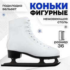 Коньки фигурные winter star basic, р. 36