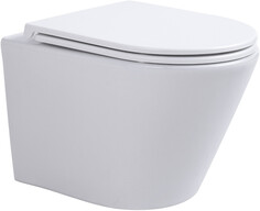 Подвесной безободковый унитаз с сиденьем микролифт Sintesi Essler SIN-TS-SLR-181