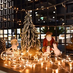 Гирлянда Lotti XTL-IR 500 leds теплый белый с пультом управления 20 м на батарейках