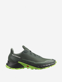 Кроссовки мужские Salomon Alphacross 5, Зеленый
