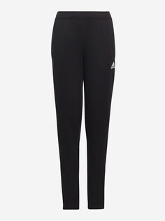 Брюки для мальчиков adidas Entrada 22, Черный