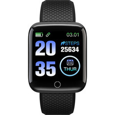 Смарт-часы Digma Smartline H2 1.3 TFT черный (H2B) (1528560)