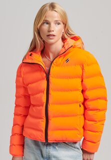 Зимняя куртка Superdry All Seasons, оранжевый