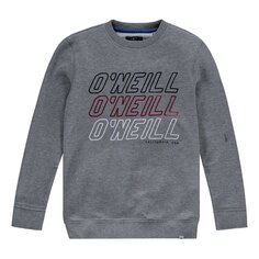 Толстовка O´neill All Year, серый Oneill