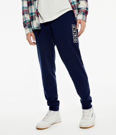 Спортивные брюки Heritage Jogger с логотипом Aero Block Box Aeropostale, синий