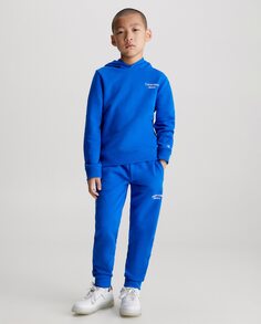 Спортивные штаны синего цвета для мальчика Calvin Klein, синий