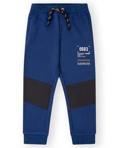 Длинные спортивные брюки для мальчиков из плюша Canada House, синий