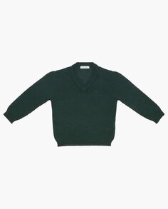 Вязаный свитер с V-образным вырезом для мальчика бутылочно-зеленого цвета Martín Aranda, темно-зеленый