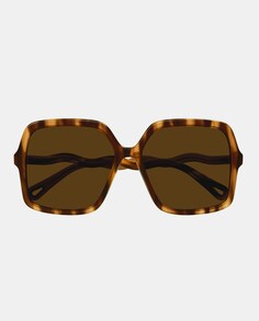 Крупные женские солнцезащитные очки квадратной формы из ацетата гаваны Chloé, коричневый Chloe
