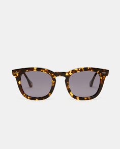 Унисекс квадратные солнцезащитные очки Havana из ацетата с поляризованными линзами Scalpers, светло-коричневый