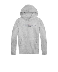 Серая толстовка для мальчика с капюшоном и вышитым логотипом Tommy Hilfiger, серый