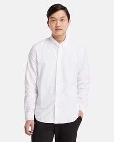 Мужская оксфордская рубашка белого цвета Timberland, белый
