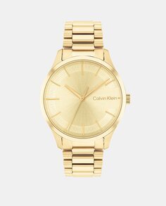 Мужские часы Iconic 25200043 Gold Steel Mesh Calvin Klein, золотой