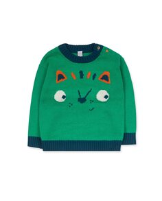 Зеленый трикотажный свитер для мальчика Tuc tuc, зеленый