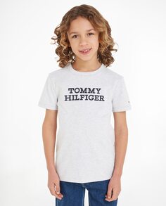 Футболка для мальчика с круглым вырезом и короткими рукавами Tommy Hilfiger, серый