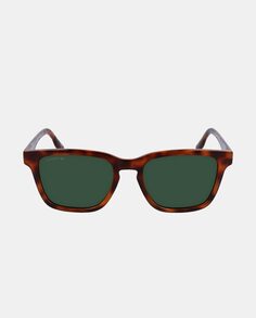 Квадратные мужские солнцезащитные очки в Гаване Lacoste, светло-коричневый