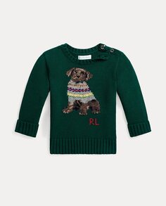 Хлопковый свитер для мальчика с собачкой Polo Ralph Lauren, зеленый