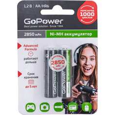 Бытовой аккумулятор GoPower