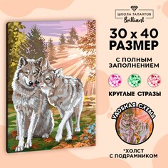 Алмазная мозаика на подрамнике 30x40 с полным заполнением Школа талантов