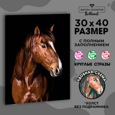 Алмазная мозаика с полным заполнением на холсте Школа талантов