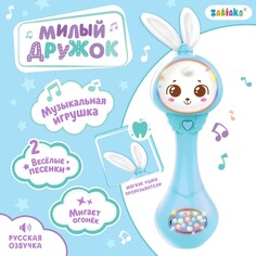 Музыкальная погремушка Zabiaka