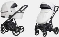 Коляски 2 в 1 Коляска Riko Basic универсальная Yoga Ecco 2 в 1