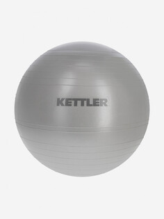 Мяч гимнастический с насосом KETTLER, 65 см, Серый