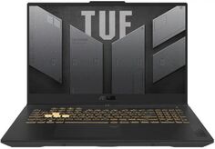 Ноутбук ASUS TUF Gaming F17 FX707ZV4-HX076 90NR0FB5-M004H0 i7 12700H/16GB/512GB SSD/GeForce RTX4060 8GB/17.3" IPS FHD/WiFi/BT/Cam/noOS/grey