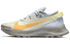 Женские беговые кроссовки Nike Pegasus Trail 2