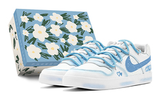Обувь для скейтбординга Nike SB Delta унисекс, цвет sky blue