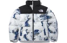 Куртка унисекс THE NORTH FACE, цвет earth print color