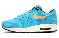 Вельветовые кроссовки Nike Air Max 1 Baltic Blue