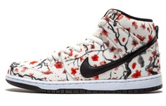 Высокие кроссовки для скейтбординга Nike Dunk SB, женские