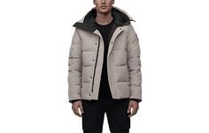 Мужской пуховик Canada Goose, цвет stone gray