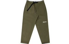 Повседневные брюки унисекс Dickies, армейский зеленый