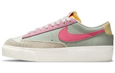 Туфли Nike Blazer Low Skate женские