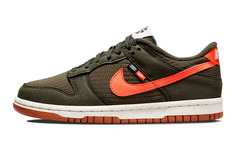 Туфли для скейтбординга Nike Dunk Low женские