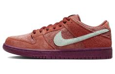 Туфли для скейтбординга Nike Dunk SB Low унисекс