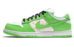 Туфли для скейтбординга Nike Dunk SB Low унисекс