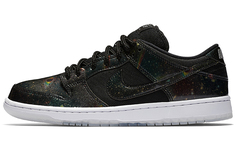 Туфли для скейтбординга Nike Dunk SB Low унисекс