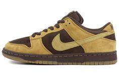 Туфли для скейтбординга Nike Dunk SB Low унисекс